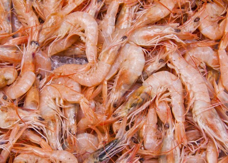 5 Cara Memasak Udang Simpel dan Lezat yang Wajib Dicoba