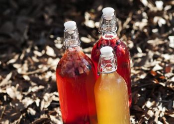 Anak Muda China Tertarik Tren Baru Memelihara Jamur dari Sisa Minuman