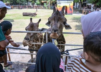Kebun Binatang Surabaya Dipadati Warga Menyambut Libur Nataru