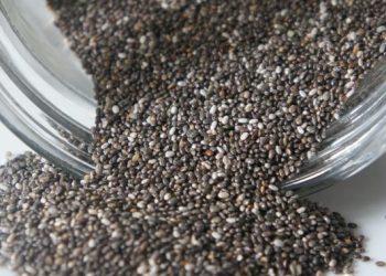 6 Manfaat Chia Seed untuk Pencernaan Melancarkan BAB dan Mengatasi Sembelit
