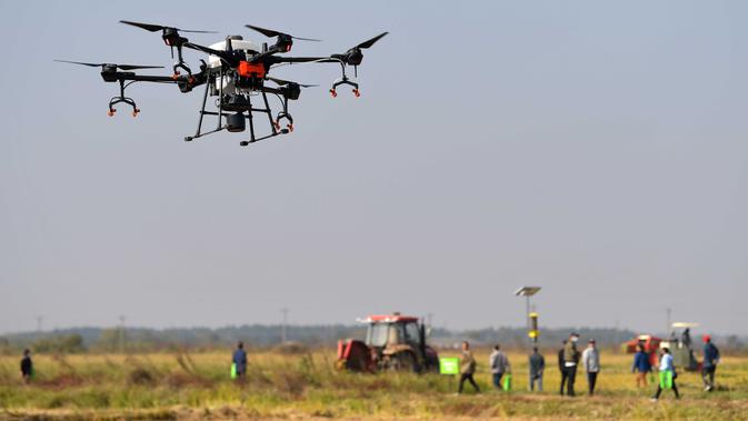 Transformasi Kebun Pir Yulu di Kabupaten Xi Tiongkok Utara Menjadi Pertanian Cerdas