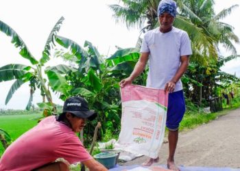 Industri Pupuk Terapkan SNI dan Manfaatnya