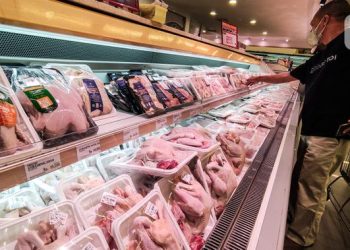 Jaga Stok Daging di Jakarta dengan Rencana Impor Ribuan Ekor Sapi dari Australia