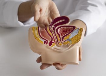 5 Pola Makan dan Gaya Hidup Penyebab Wasir dan Ambeien menurut Dokter