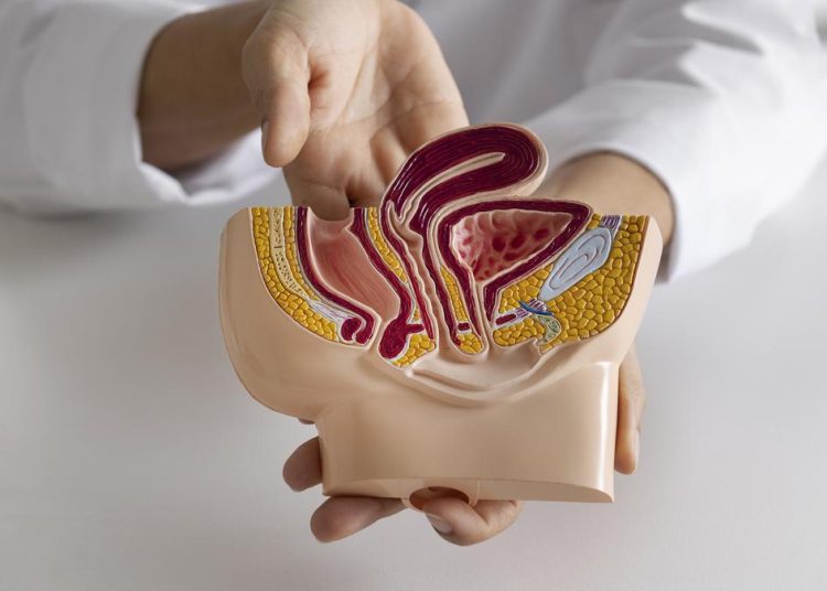 5 Pola Makan dan Gaya Hidup Penyebab Wasir dan Ambeien menurut Dokter