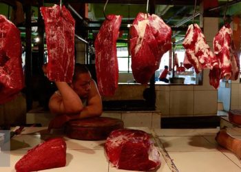Izin Impor Daging Sapi 2026 Sudah Terbit Semua Menurut Kemendag