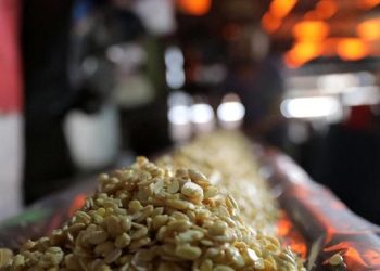 Tempe Superfood Indonesia, Ini Efek Dahsyatnya bagi Kesehatan Tubuh