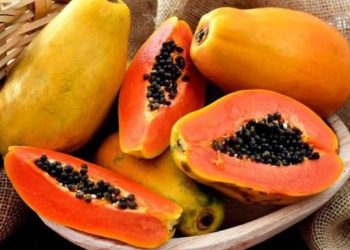 Hindari Konsumsi Pepaya Bersama Makanan Ini