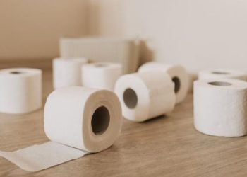 Mengapa Orang Barat Menggunakan Tisu untuk Bersih-bersih Bukan Air? Ini Penjelasannya