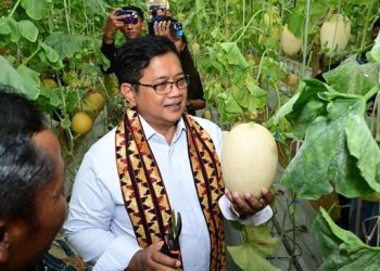 Dorong Pemasaran Produk UMKM di Kawasan Transmigrasi Bali