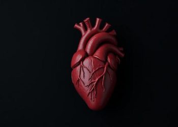 Penyakit Jantung Bawaan Menimpa 45 Ribu Bayi di Asia Tenggara Tiap Tahun