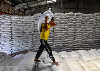 Tiga Teratas Indonesia Bersiap untuk Ekspor Beras