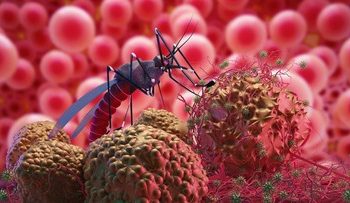 Indonesia Catat Lebih Dari 161 Ribu Kasus Dengue Sepanjang 2025